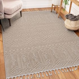 LOOM & LUXE Collection 8X10 Natural /Traditional Indoor/Outdoor Area Rug